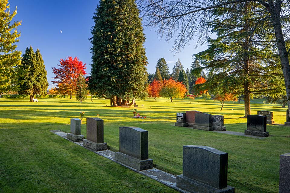 Arbor Memorial Arbor Memorial Designer online memorial designer.